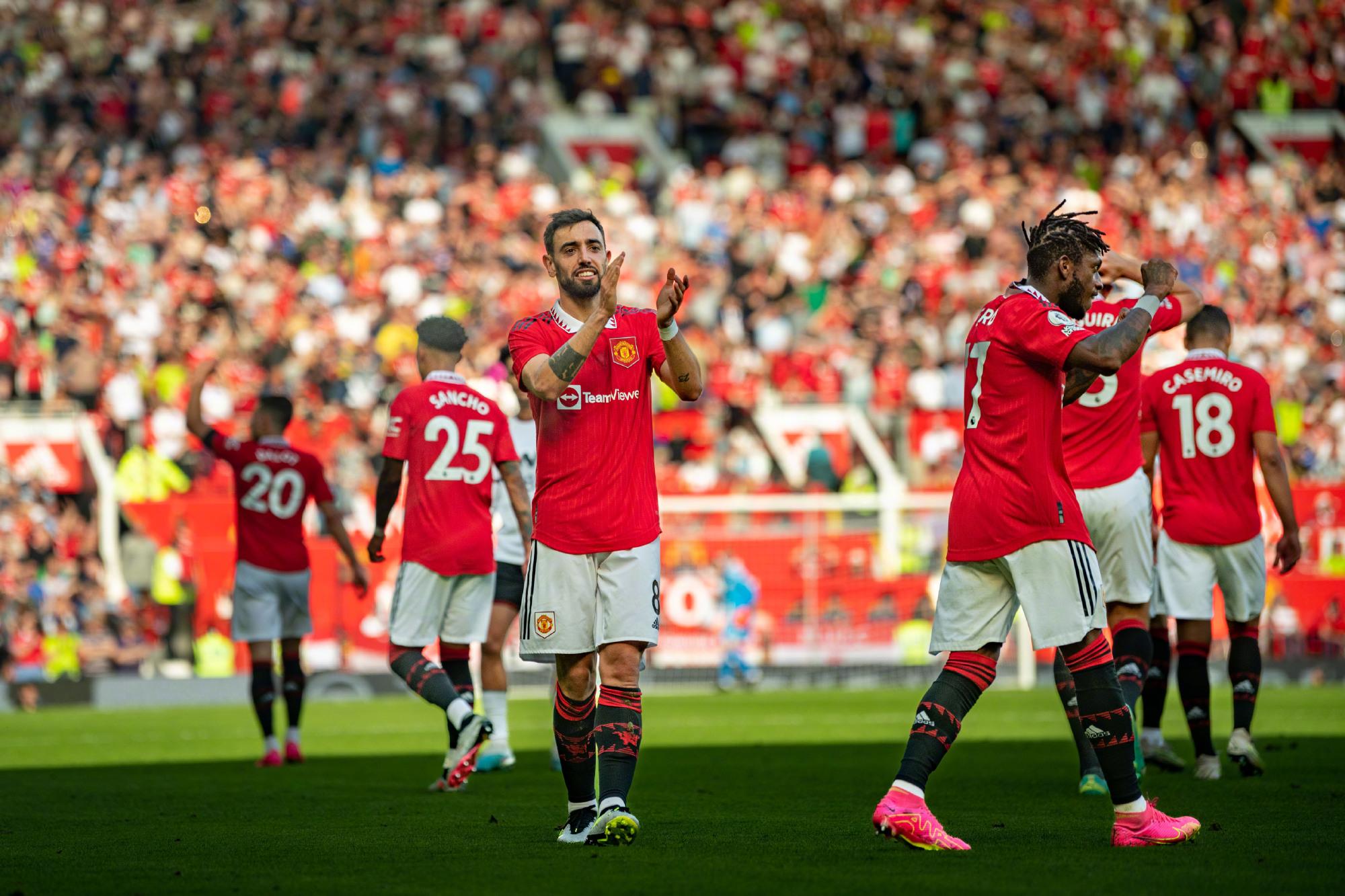 上海大鲨鱼 上海大鲨鱼